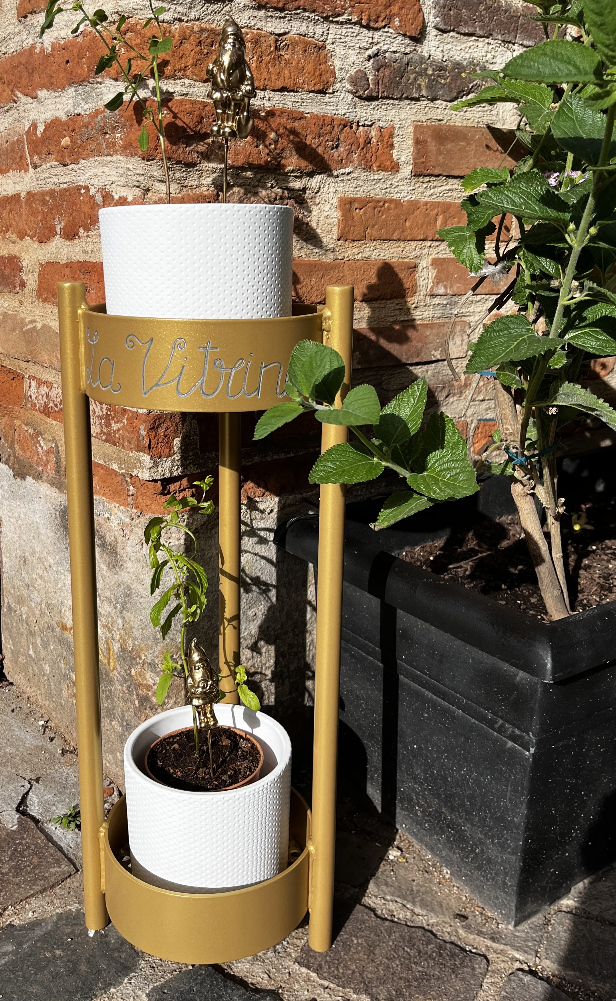Support pour plantes La Vitrine